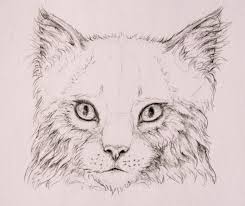 How To Draw Animals Quickly Render Fur Today i'll be showing you some.