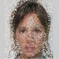 Morpholio Elite Members