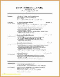Designer Lebenslauf 2019 Resume Templates Click Picture For More Lebenslauf Vorlagen Resume R Resume Template Word Resume Templates Resume Examples