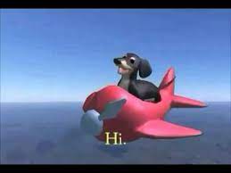 Dog On Plane Extended Youtube