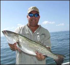 Speckled Trout Fishing In South Louisiana Inshore Fishing Trout Fishing Fish