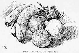 Pen Drawing Using Lines Google Search Fruits Drawing Drawings Fruit Sketch