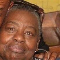 Barbara Ann Stewart Obituary