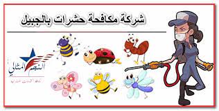 أصبحت شركة مكافحة حشرات بالجبيل هي الأبرز في عالم مكافحة الحشرات بعد أن ذاع صيتها وتوصلت إلى أحدث طرق مكافحة جميع أنواع الحشرات وإبادتها بشكل نهائ insect control