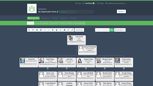 Teamimprover Team Organization Chart