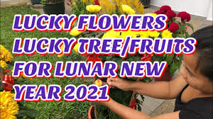 Chinese new year is the first day of the new year in the chinese calendar, which differs from the gregorian calendar. Cny Lunar New Year 2021 Lucky Flowers Lucky Tree Lakwatcha Tv Youtube