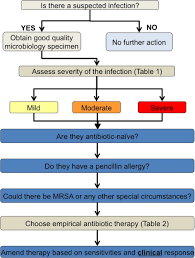 Image result for IDSA Diabetic Foot Wound Classification