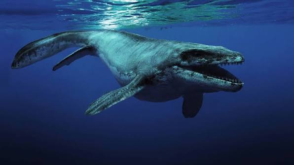 Could the Mosasaurus still be lurking somewhere in our oceans? #WhatIf