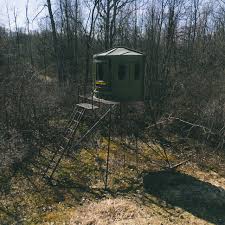 Elevate 10 Platform *BACKORDER UNTIL 4/20*