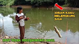 Di sisi lain, penting juga bagi para pegelut untuk memahami cara memancing ikan baung di siang hari dengan umpan yang baik. Cara Mancing Baung Siang Hari Di Sungai Yang Jernih Youtube