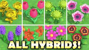 We did not find results for: All Hybrid Flowers In Animal Crossing New Horizons How To Grow Them Easy Youtube