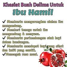 Serat penting selama kehamilan untuk membantu mencegah sembelit, masalah umum yang sering kali dirasakan ibu hamil. Manfaat Buah Delima Buat Ibu Hamil Seputar Buah