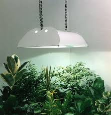 How Artificial Plant Lights Will Help Growing Your Plants Pouted Online Magazine Latest Design Tre Grow Lights For Plants Light Bulb Plant Led Grow Lights