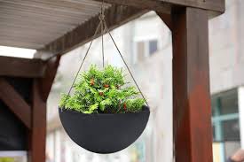 In a simple semi circular shape and with a crackled design it makes a. Best Wall Planters To Buy Now Martha Stewart