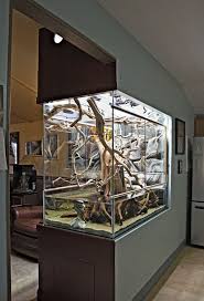Jim S Display Paludarium My First Page 5 Dendroboard Amazing Aquariums Aquarium Design Aquarium