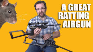 Great Ratting Airgun Youtube