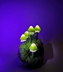 Pilz Lampe Bestehend Aus Funf Grunen Leuchtpilzen Mit Led Etsy Led Beleuchtung Beleuchtung Pilze