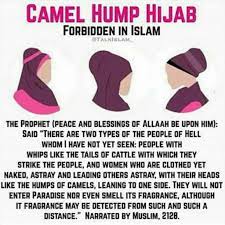 Many muslimahs are taking this trend and forgetting that it is wrong for them to wear the hijab in the camel hump style. Hijab The Camel Hump Hijab Style Islam Peace Niqab Hijaab Styling