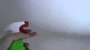 How do you remove mold and mildew from bathroom ceiling? How To Remove Mold Off Your Bathroom Ceiling Youtube