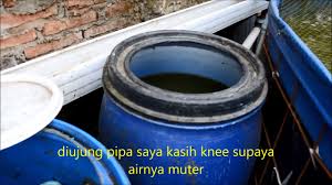 Update Kolam Lele Sistem Resirkulasi Sederhana Youtube