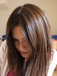 Aveda Brown Highlights On Black Hair The Beauty Thesis Light Hair Dark Hair With Highlights Hair Highlights