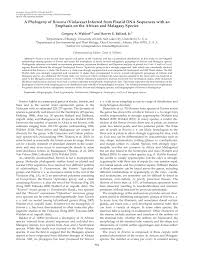 Image result for Rinorea laurentii