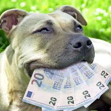 So erklärt es das bundesfinanzministerium. Eschborn Stadt Fuhrt Hundesteuer Ein Obwohl Sie Es Nicht Notig Hat Eschborn