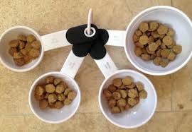 Your dog should eat according to their size, weight, activity level, age and the type of food you're feeding them. How Much Should My Dog Eat Travis County Kennel Club
