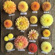 Pin On Garden Ideas