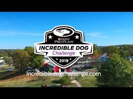 2019 Purina Pro Plan Incredible Dog Challenge National Finals
