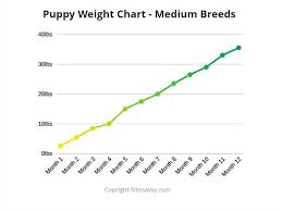 puppy weight chart