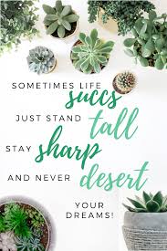 Succulent Pun Inspiration Quote Succulent Puns Plants Quotes Succulents