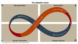 ✓ free for commercial use ✓ high quality images. About Resilience Resilience