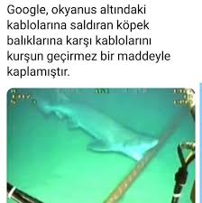 Belinay Adli Kullanicinin Ilginc Bilgiler Panosundaki Pin 2020 Bilgi Alintilari Bilgi Karti Bilgi