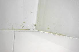 Werden seine sporen eingeatmet und gelangen in die lunge, kann es zu schweren organschäden kommen. Schimmel An Der Decke Beseitigen Anleitung Tipps Vom Maler Streichen Diybook De