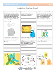 Amoeba sisters lab safety worksheet answers. Amoeba Sisters Video Recap Answers Fill Online Printable Fillable Blank Pdffiller