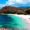 Wisata pusuk sembalun lombok timurподробнее. Https Encrypted Tbn0 Gstatic Com Images Q Tbn And9gctyxpcp11apjrhpdotjma If6xgpm 5yepxsokxqvovob5mk3y Usqp Cau