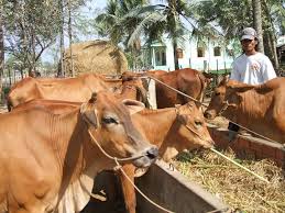 Đã rất lâu rồi người hâm mộ mới được thưởng thức một trận đấu mãn nhãn đến vậy. Ä'bscl Bo Vang Len HÆ°Æ¡ng