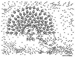 The how to of learning. Peacock Extreme Dot To Dot Connect The Dots Pdf By Tim S Printables