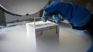 Nurture, de onsterfelijkheidswens en vraagstukken omtrent anoniem donorschap. Spermadokter Karbaat Verwekte 49 Kinderen Met Eigen Zaad Nos