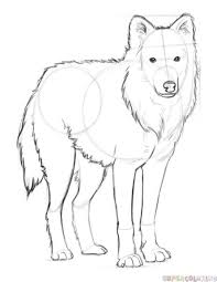 Learn how to draw a cute arctic fox! Arctic Fox Anime Drawing Shefalitayal