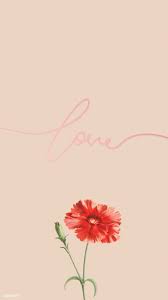 Download Premium Illustration Of Orange Carnation Flower Element On Beige Carnation Flower Carnations Flower Backgrounds