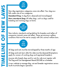 Check spelling or type a new query. Dog And Cat Welfare Rspca South Australia