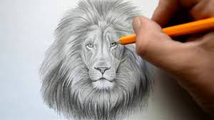 Time Lapse Drawing Of A Lion Lion Drawing Lion Face Drawing Animal Drawings