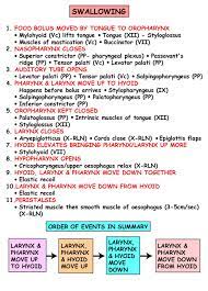 Instant Anatomy Head And Neck Areas Organs Swallowing Speech Therapy Materials Speech Therapy Tools Speech And Language