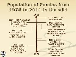 Giant Pandas