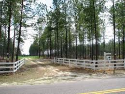 Exclusive trends, forecasts and reports for every address. Big Woods Plantation 770 Acres Farm For Sale In Barnwell Barnwell County South Carolina 3160 Farmflip