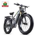Fat Tire Mountain Electric Bike for Adults, 28MPH Full Suspension ...