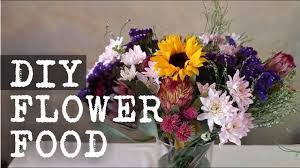 How do you make flower food for cut flowers. How To Make Own Flower Food Diy Homemaking South Africa Youtube