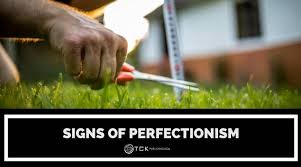 نتیجه جستجوی لغت [perfectionist] در گوگل